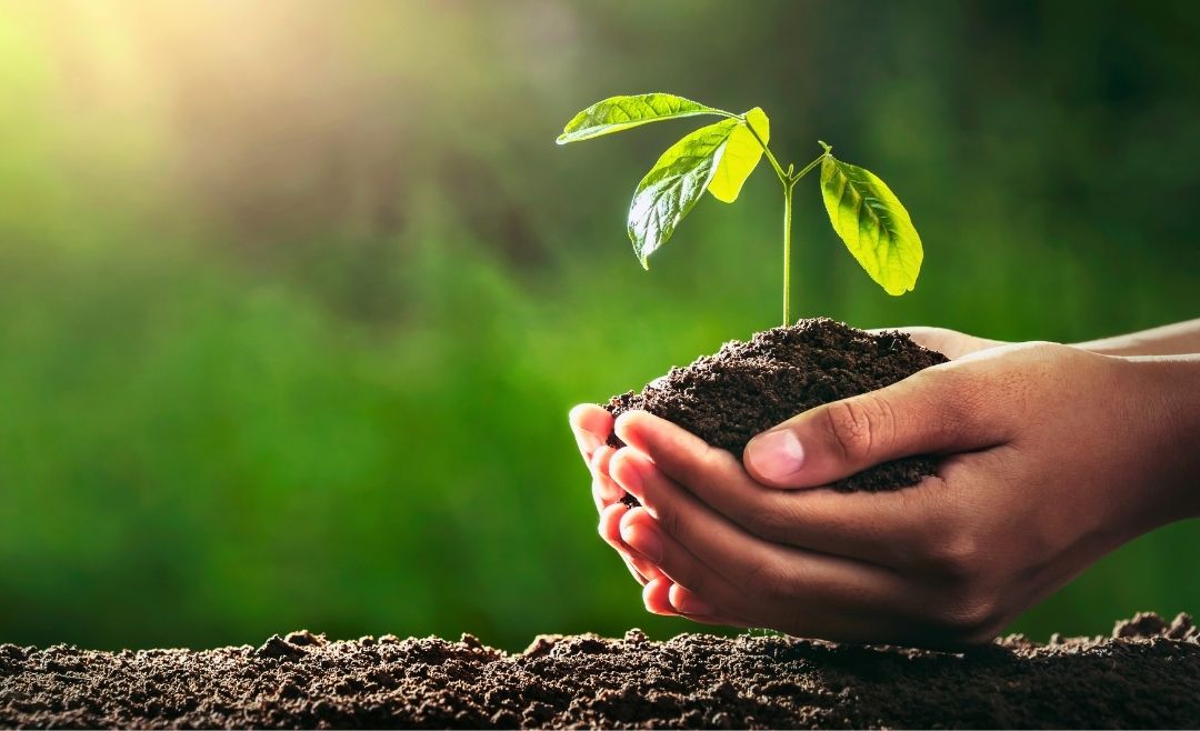 ללא שם (1080 x 658 פיקסל)